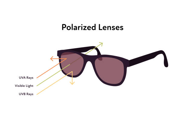 Polarisation